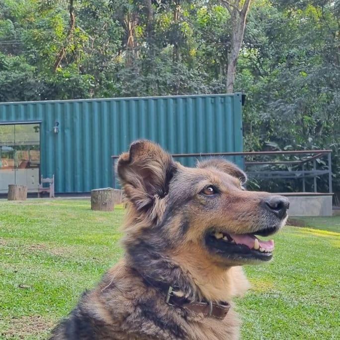 Вилла Casa Container Na Represa De Guarapiranga! Sonho! Сан-Пауло Экстерьер фото